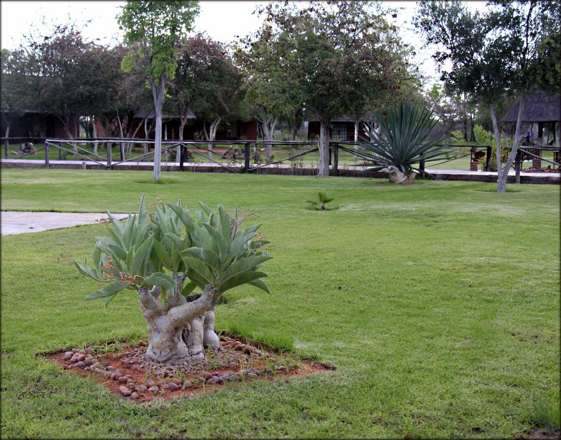 Fiume Lodge Grootfontein Dış mekan fotoğraf